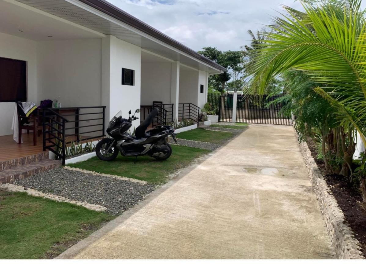 Palm Tree Lodge Moalboal Buitenkant foto